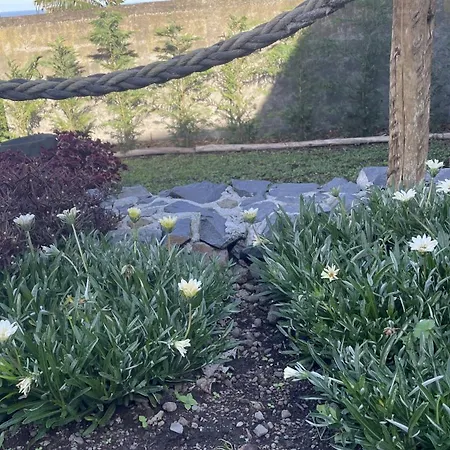 Apartamento Casas Hortas, Vista Jardim E Serra