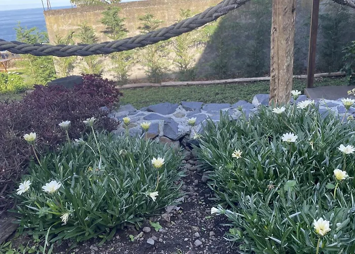 Apartmán Casas Hortas, Vista Jardim E Serra